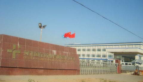 河北國金藥業有限責任公司